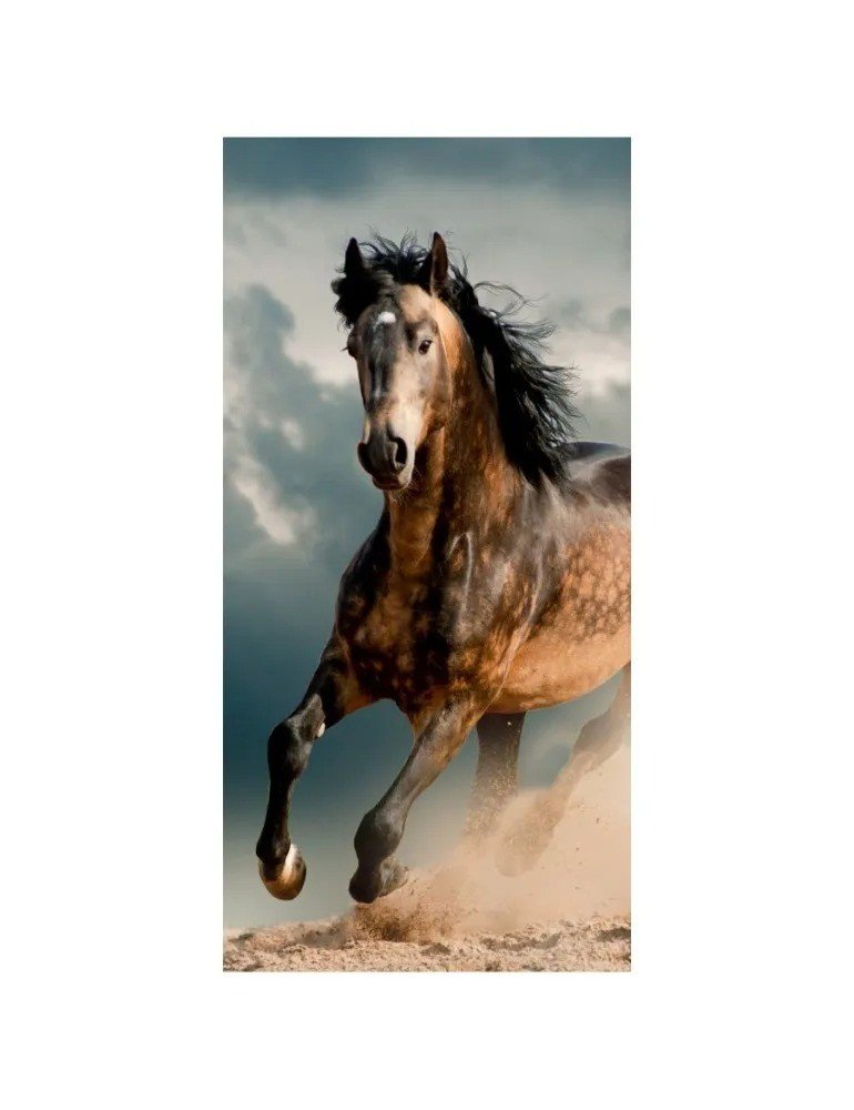 FARO lovas gyerektörölköző 70x140 cm